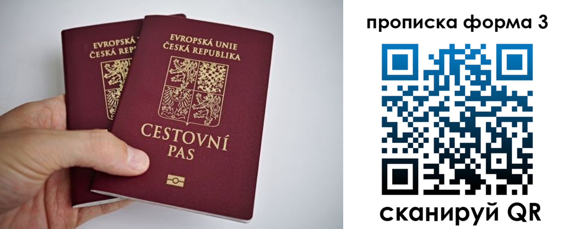 регистрация для школы в Сосновом Бору